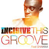 This Groove Ft. Shakka (Instrumental) - Incisive&Shakka