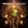 Escape from Reality (Original Mix) - Disconect&Cosmic Wolf