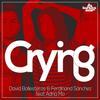 Crying (Radio Edit) - David Ballesteros&Ferdinand Sanchez&Adria Mo