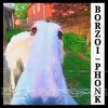 Borzoi, Didn't I do it for you? PHONK - 2KE