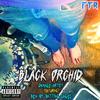 Damage Artist (feat. Benjamin Blu) (Explicit) - Black Orchid&Benjamin Blu
