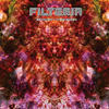 Multiple Disorder (Filteria Remix) - K.O.B.&Filteria