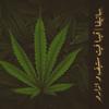 Sativa(feat. Stevee & Azaro) - Vidv&Stevee&Azaro