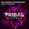 Body Shaker (Original Mix) - No Hopes&PUSHKAREV