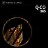 365 (Radio Edit) - Q-Co