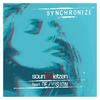 Synchronize (MaBose Radio Mix) - Soundmietzen&De/Vision