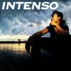 Intenso - Seo Fernandez