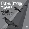 A Raven Wheeling Overhead (Vocal Mix) - Funk D'Void&Sian