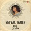 Çocuğum - Seyyal Taner