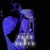Tnt (2016 Version|Explicit) - Senfoni&Zago