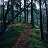 The Secret Path - Teaganbear
