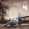 Do For Your Love - Pricey&Narko