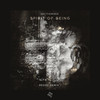 Spirit Of Being (Redge Remix) - Section303&Redge