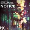 Notice(feat. Grant Dawson & Veronica Bravo) - Cadmium&Grant Dawson&Veronica Bravo