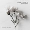 Spring (DeVante Remix) - Miname&Devante