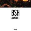 Abundatly - BSH