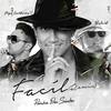 Fácil (Remix) - Pumba Dos Santos&Pipe Calderón&Yelsid