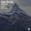 Amorage (Lateral Cut Groove Remix) - Liam Garcia&Lateral Cut Groove