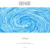 Sense (Original Mix) - Sterium