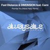 Promise You (Maria Healy Extended Remix) - Fast Distance&DIM3NSION&Maria Healy&Cami