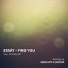 Find You feat. Ida Dillan - Essay&Ida Dillan