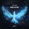 Phoenix In The Night - Tripton&Jonas Benedikt Lemke