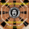 Concentrate (DJ Huggie Remix) - Known Unknown&DJ Huggie