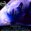 Dingo (Stampatron Remix) - Stephen Cole &Stampatron