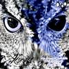 Hart En Koffie (Original Mix) - Frankh Oren