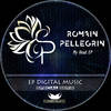 Acouphene (Original Mix) - Romain Pellegrin