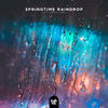 Springtime Raindrop - Lo-Fi Tigers&nrg