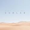 Feel This Way - Sublab