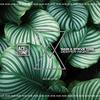 Deeper Night (Original Mix) - Nari&Steve Tosi