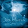 How Would U Feel (Peter Rauhofer Radio Edit) - David Morales