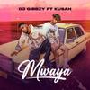 Mwaya (feat. Kusah) - DJ Gibbzy&Kusah