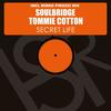 Secret Life (Original Mix) - Soulbridge&Tommie Cotton