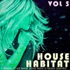 Serenely (Funky House Mix) - Robert Rex