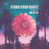 Love - Vitamin String Quartet&Benjamin Joseph Levin&Elizabeth Grant&Emile Haynie&Richard W Nowels Jr.