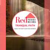 Soak In Pleasure (Original Mix) - Brian Thetus