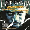 Michael Watts Interlude - David Banner