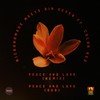 Peace and Love[feat. Most High Records] (Dub) - Color Red&Micronómade&Kin Seven&Most High Records