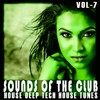 Silver Lady (Ladies in the Club Mix) - Dominique Durban