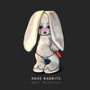 Rave Rabbits - Max Mineyev