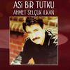 Ayrılıkların Şairi - Ahmet Selçuk İlkan