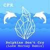 Dolphins Don't Cry (Luke Mornay Edit) - Mandelbarth&Luke Mornay