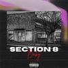 Section 8 Baby (Explicit) - Hazy OBE