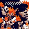 Raise - Incognito