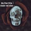 Un fior prin coaie-mi vine (Explicit) - Cea Mai Mare Pula