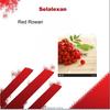 Wind (Instrumental Mix) - Selalexan