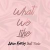 What We Like(feat. Rolo) - Adrian Kniffley&Rolo